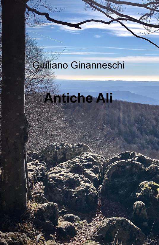 Antiche ali - Giuliano Ginanneschi - copertina