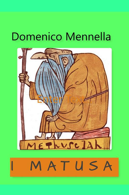 I matusa - Domenico Mennella - copertina