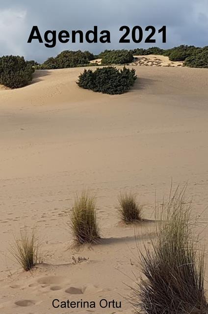 Agenda 2021 - Caterina Ortu - copertina