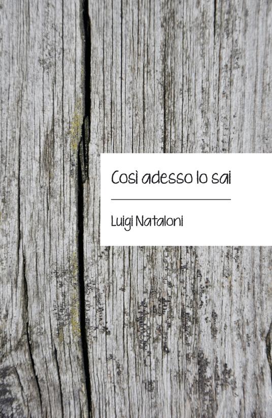 Così adesso lo sai - Luigi Nataloni - copertina