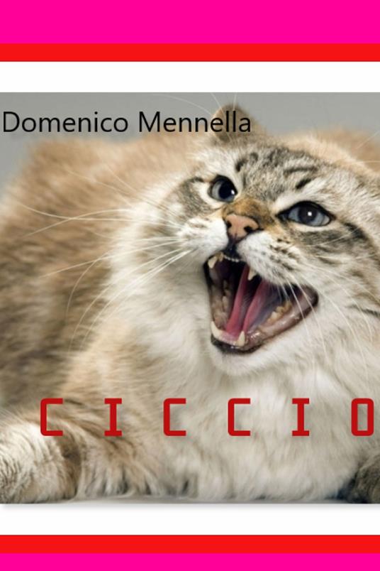 Ciccio - Domenico Mennella - copertina