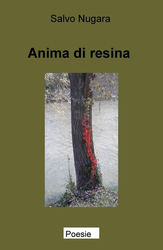 Anima di resina - Salvo Nugara - copertina