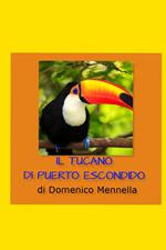 Il tucano di Puerto Escondido