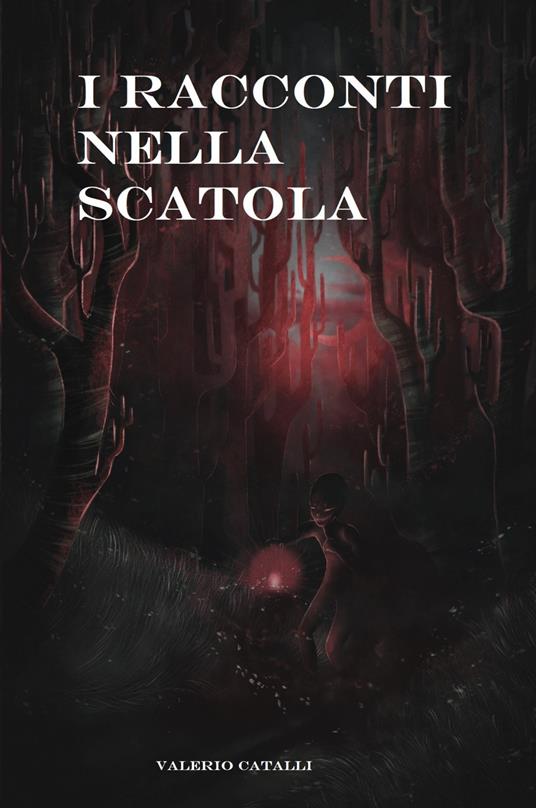 I racconti nella scatola - Valerio Catalli - copertina