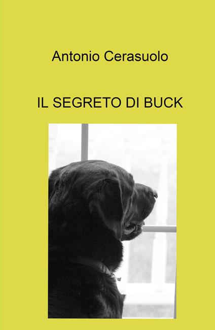 Il segreto di Buck - Antonio Cerasuolo - copertina