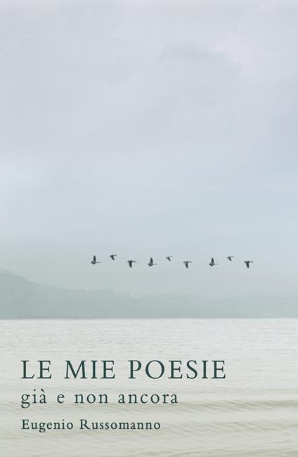 Le mie poesie. Già e non ancora - Eugenio Russomanno - copertina