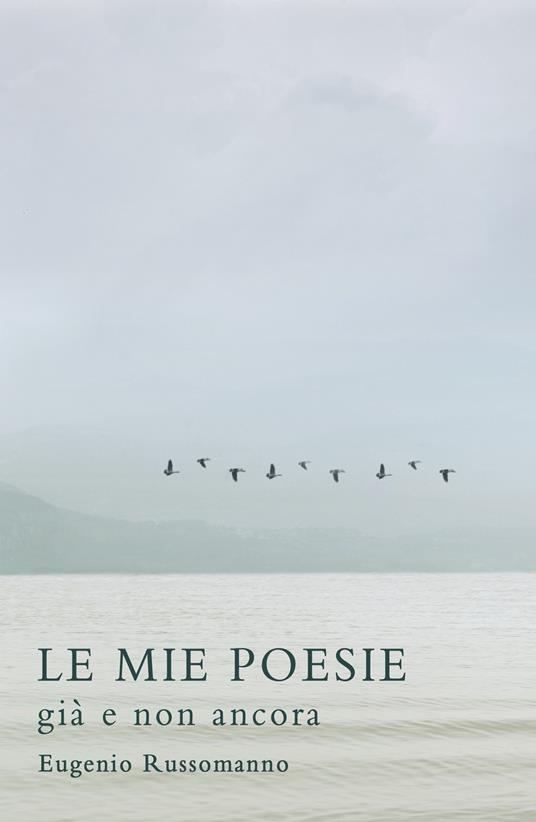 Le mie poesie. Già e non ancora - Eugenio Russomanno - copertina