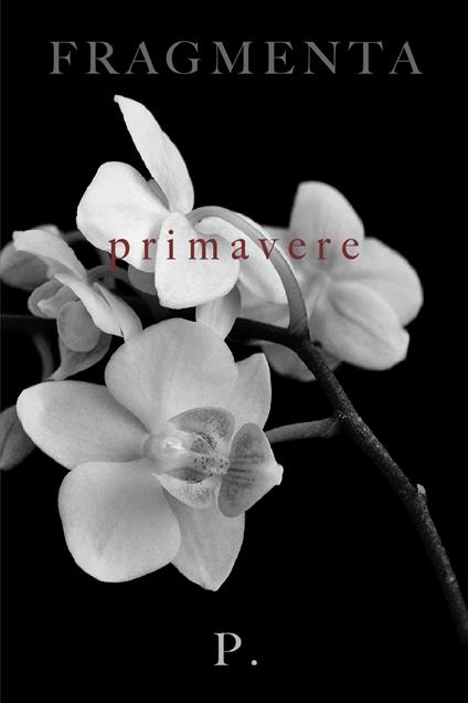 Fragmenta - P. - ebook