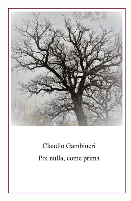 Poi nulla, come prima - Claudio Gambineri - copertina