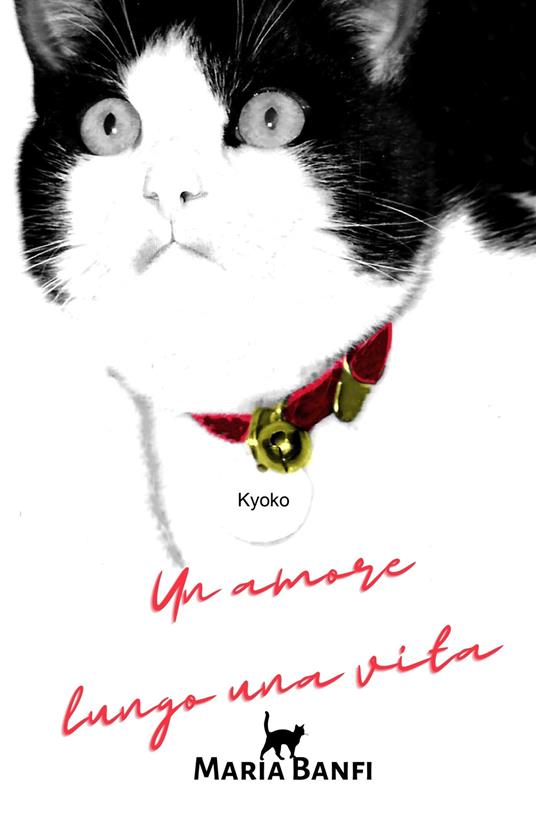 Un amore lungo una vita - Maria Banfi - copertina