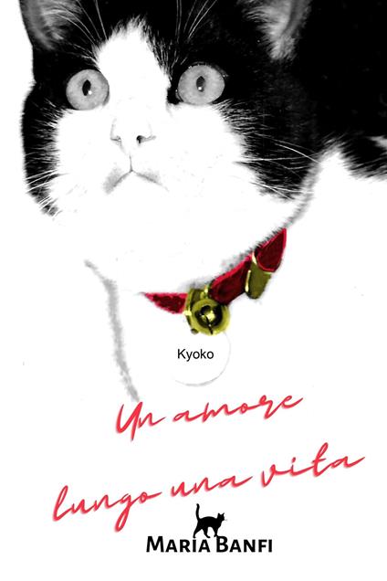 Un amore lungo una vita - Maria Banfi - ebook