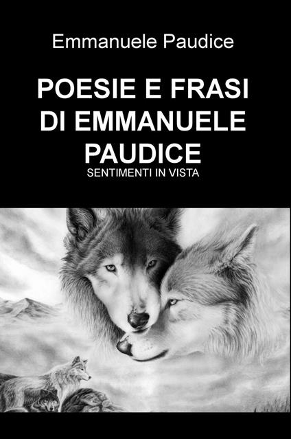 Poesie e frasi. Sentimenti in vista - Emmanuele Paudice - copertina