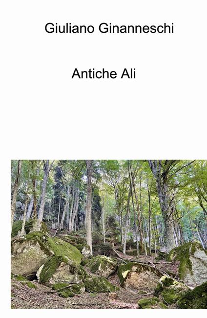 Antiche ali - Giuliano Ginanneschi - copertina