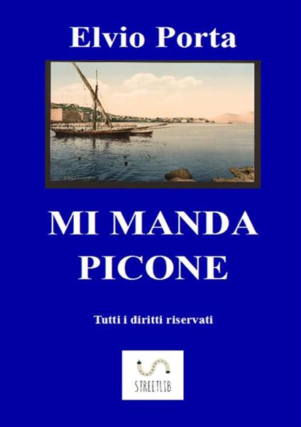 Mi manda Picone - Elvio Porta - copertina