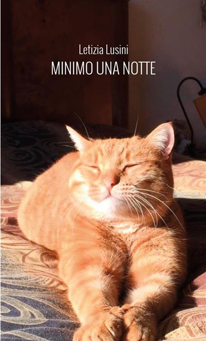 Minimo una notte - Letizia Lusini - copertina