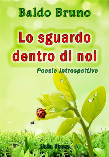 Lo sguardo dentro di noi - Baldo Bruno - ebook