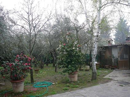 Il cavallo a due gobbe - Giancarlo Evaristi - ebook