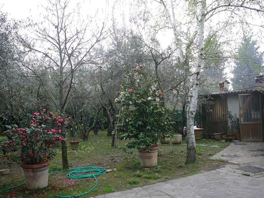 Il cavallo a due gobbe - Giancarlo Evaristi - ebook