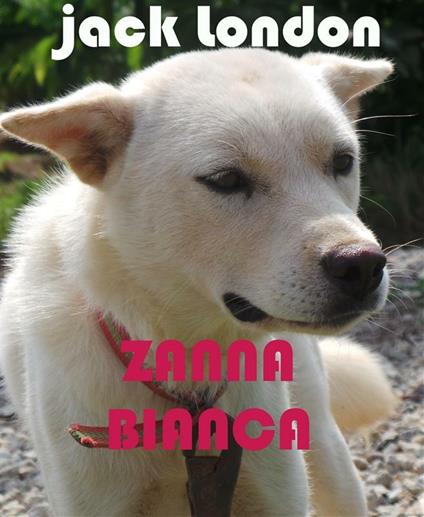 Zanna Bianca - Jack London,Alessandro Pugliese - ebook