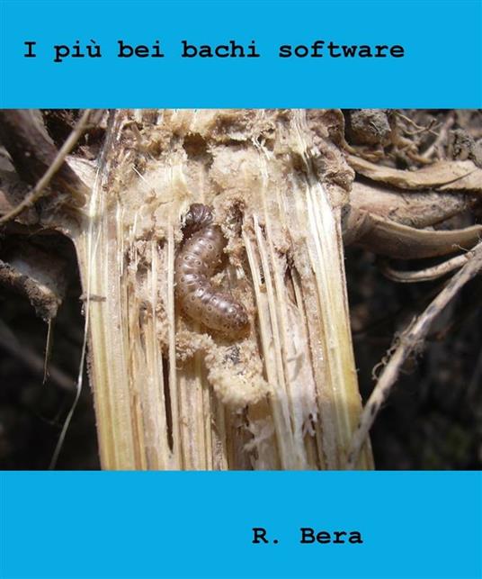 I piu bei bachi software - Roberto Bera - ebook