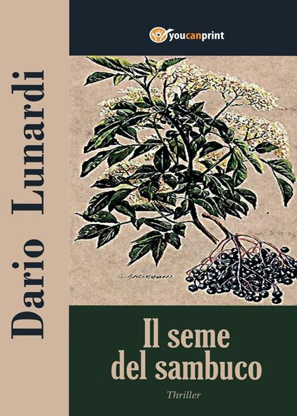 Il seme del sambuco - Dario Lunardi - copertina