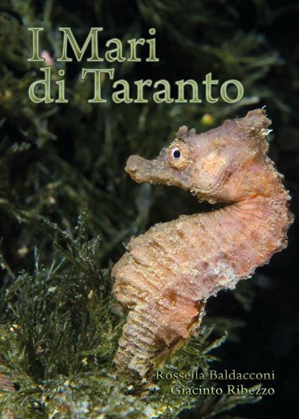 I mari di Taranto - Rossella Baldacconi,Giacinto Ribezzo - copertina