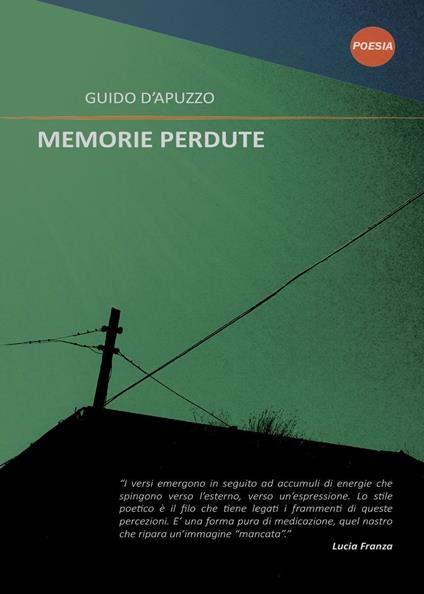 Memorie perdute - Guido D'Apuzzo - copertina