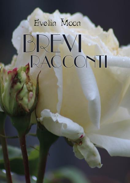 Brevi racconti - Evelin Moon - copertina