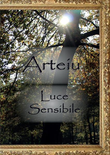 Luce sensibile - Arteiu - copertina