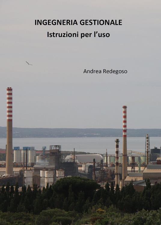 Ingegneria gestionale. Istruzioni per l'uso - Andrea Giovanni Redegoso - copertina