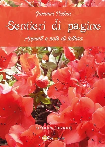 Sentieri di pagine. Appunti e note di lettura - Giovanni Pistoia - copertina