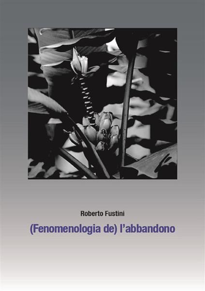 (Fenomenologia de) l'abbandono. Sette piani di separazione - Roberto Fustini - ebook