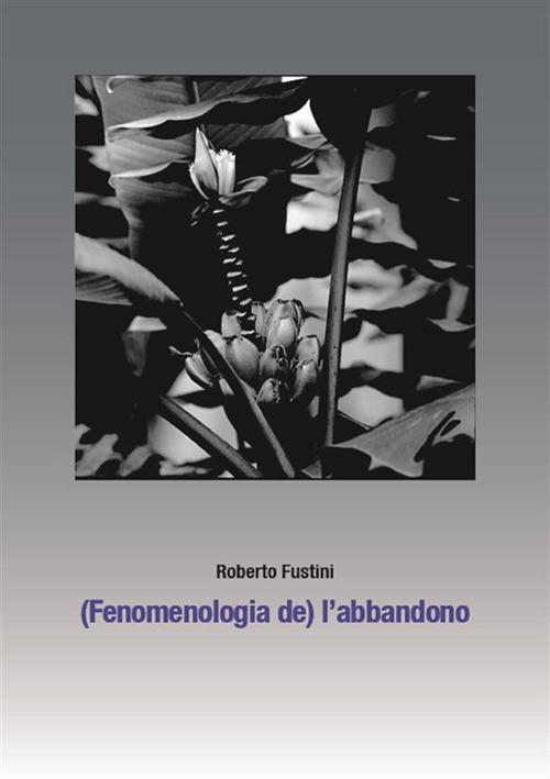 (Fenomenologia de) l'abbandono. Sette piani di separazione - Roberto Fustini - ebook