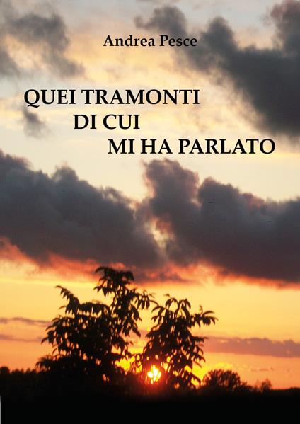 Quei tramonti di cui mi ha parlato - Andrea Pesce - copertina
