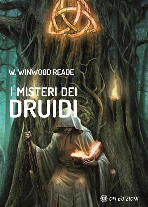 I misteri dei druidi - Winwood W. Reade - ebook