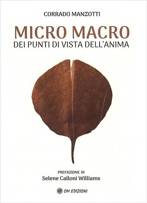 Micro macro. Dei punti di vista dell'anima - Corrado Manzotti - ebook