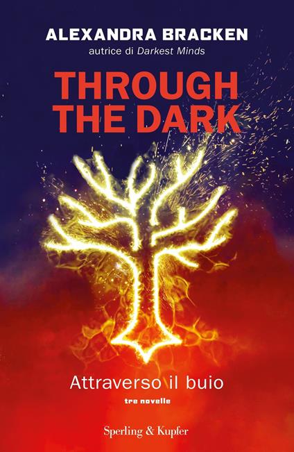 Through the dark. Attraverso il buio - Alexandra Bracken,Michela Albertazzi - ebook