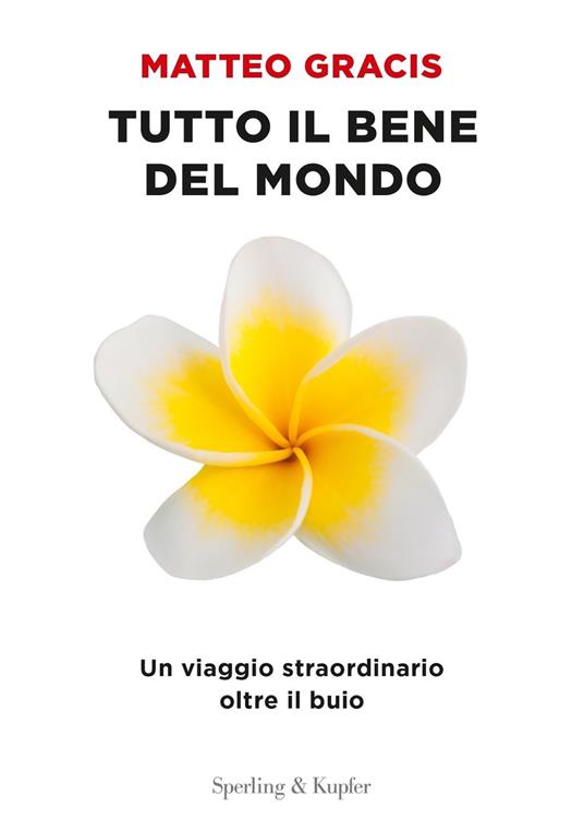 Tutto il bene del mondo. Un viaggio straordinario oltre il buio - Matteo Gracis - ebook
