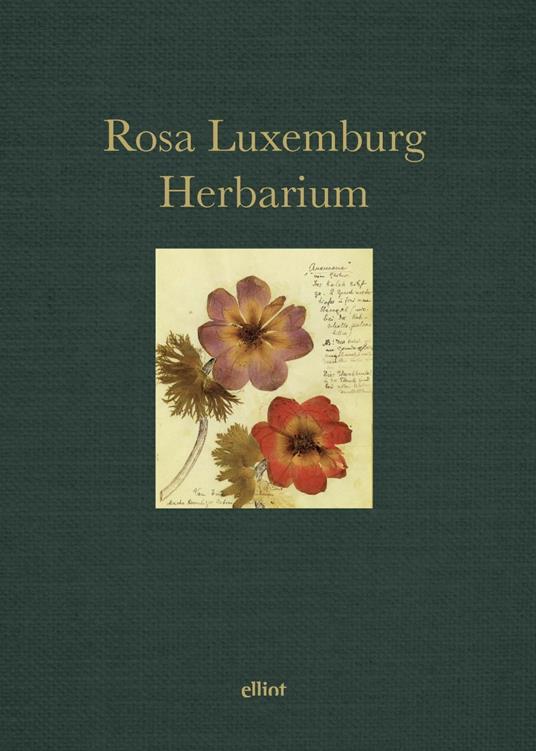 Herbarium - Rosa Luxemburg - copertina