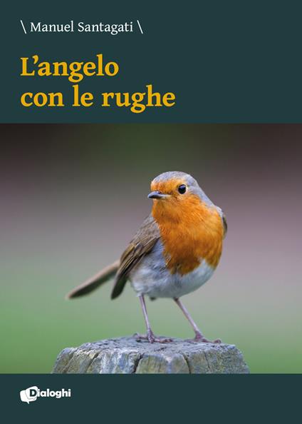 L'angelo con le rughe - Manuel Santagati - copertina