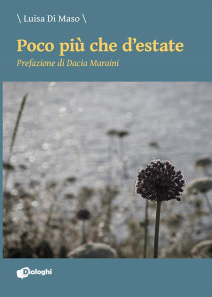 Poco più che d'estate - Luisa Di Maso - ebook