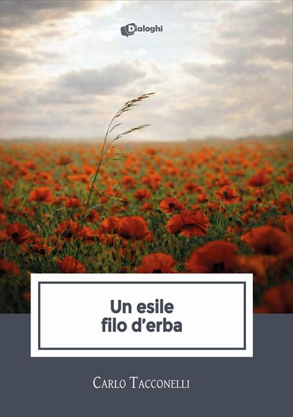 Un esile filo d'erba - Carlo Tacconelli - copertina