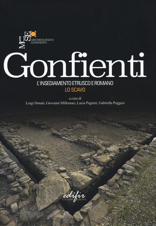 Gonfienti. L'insediamento etrusco e romano. Lo scavo. Ediz. a colori - copertina