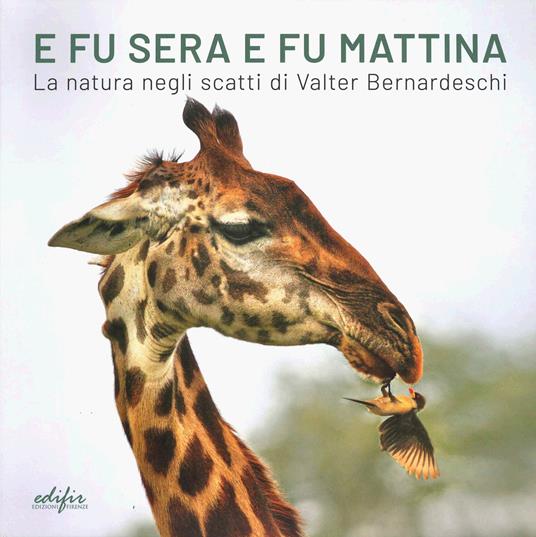 E fu sera e fu mattina. La natura negli scatti di Valter Bernardeschi. Catalogo della mostra (Firenze, 5 settembre 2024-7gennaio 2025). Ediz. italiana e inglese - copertina
