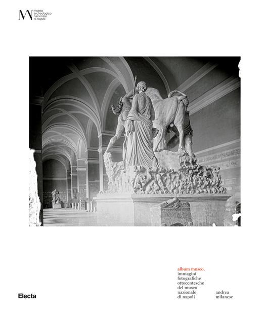 Album Museo. Immagini fotografiche ottocentesche del Museo Nazionale di Napoli. Ediz. illustrata - copertina