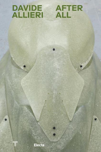 Davide Allieri. After all. Ediz. italiana e inglese - copertina