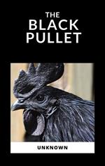 The Black Pullet