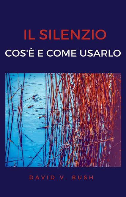 Il silenzio: cos'è e come usarlo - David V. Bush - ebook