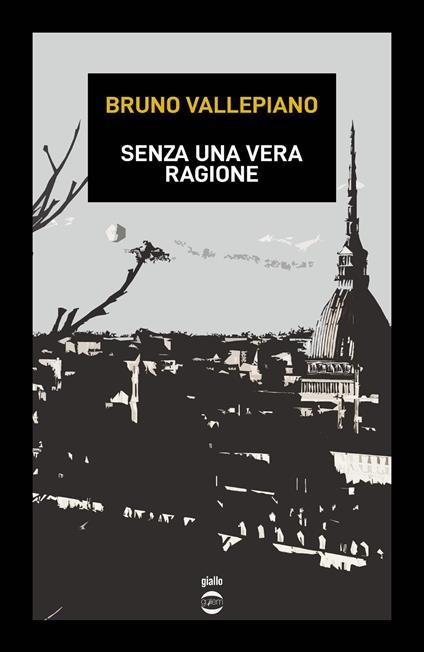 Senza una vera ragione - Bruno Vallepiano - copertina