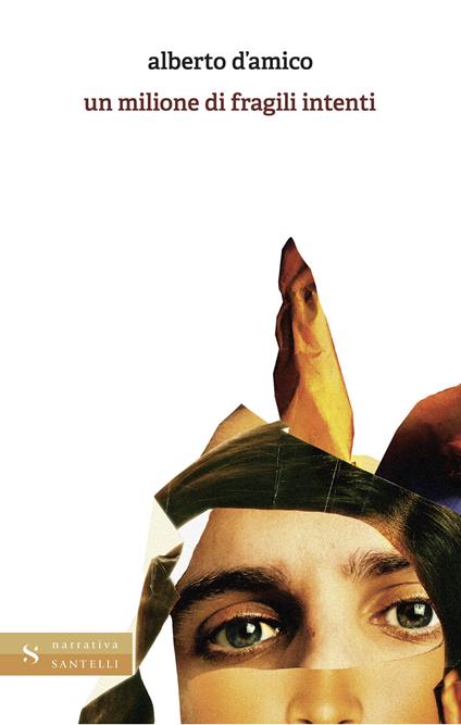 Un milione di fragili intenti - Alberto D'Amico - copertina